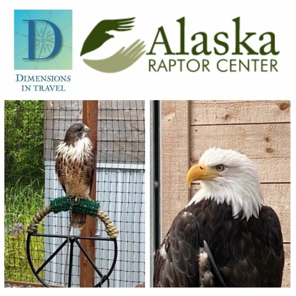 Ketchikan, Alaska Raptor Center Tour