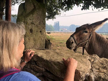 Diana Saint James with Donkey